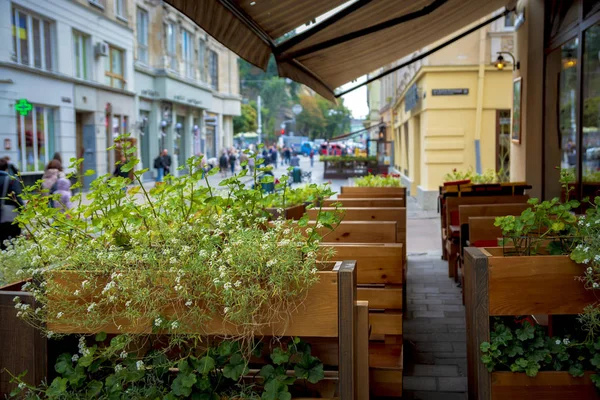 Уличное Кафе Украшенное Зелеными Растениями — стоковое фото