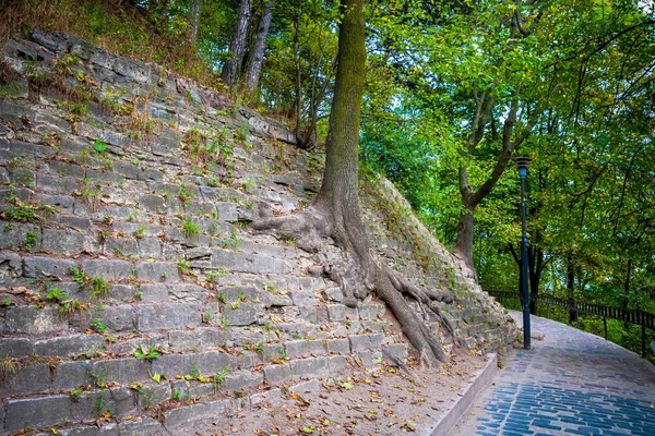 Camino Castillo Lviv — Foto de Stock