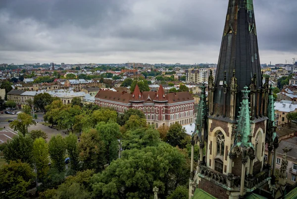 Lviv Arka Plan Üzerinde Katedral Kubbe Kilise Olga Elizabeth Kulesi — Stok fotoğraf