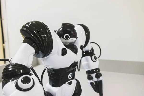Modelo Controlado Programable Por Robot Infantil —  Fotos de Stock