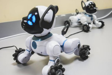 Bir akıllı telefon kontrollü akıllı robot köpek