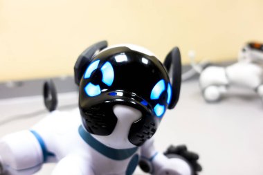 Bir robot köpek ağızlık yakın çekim