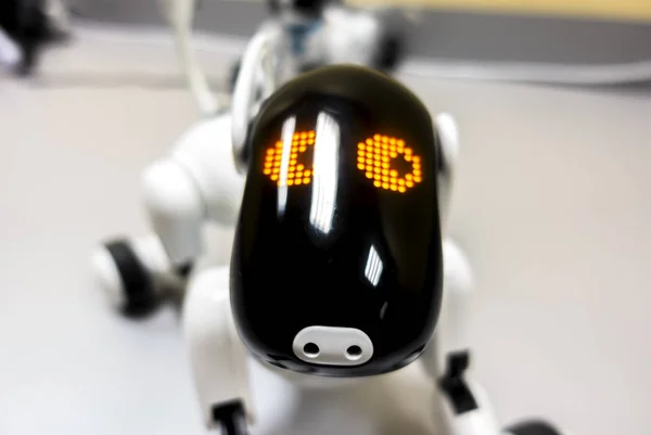 Hocico Del Perro Del Robot Acercan —  Fotos de Stock