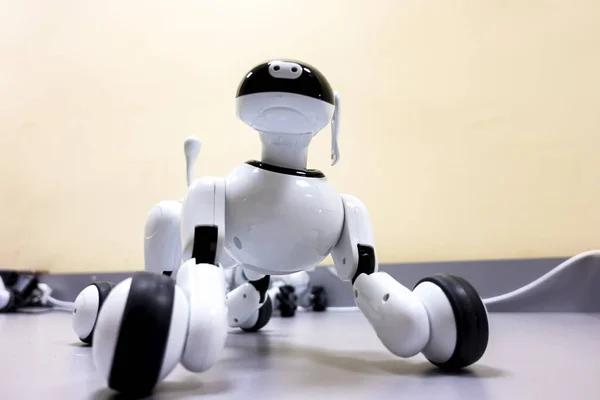 Perro Robot Inteligente Controlado Desde Teléfono Inteligente —  Fotos de Stock