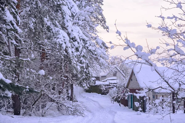 Forêt Toits Maisons Couvertes Neige — Photo