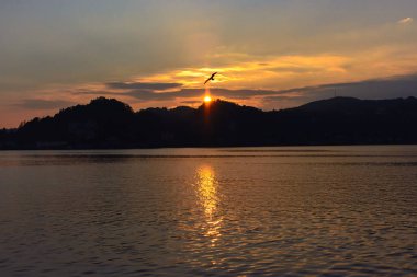 Arka planda dağlar üzerinde martı günbatımı uçan ve altın su kenarı
