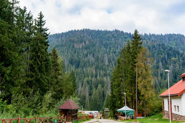 Hohe Berge und grüne Wälder. — Stockfoto