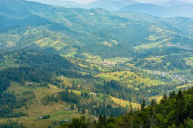 Yeşil ormanlarla kaplı dağların panoraması