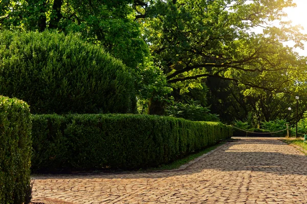 Парк біля Берегвар замок-романтична резиденція графів Шенборн — стокове фото