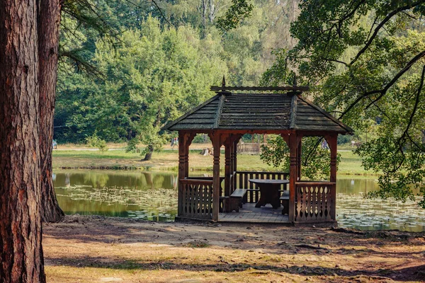 Szwajcarskie jezioro w parku Schonborn zamek w Karpatach, Ukraina. Źródło młodości i urody z leczniczą wodą — Zdjęcie stockowe