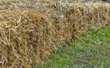 alanın arka planda samanlık