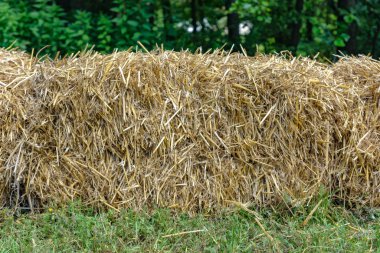 alanın arka planda samanlık