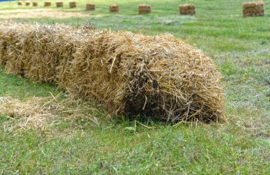 alanın arka planda samanlık