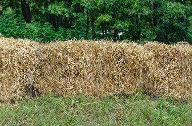 alanın arka planda samanlık