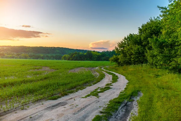 Yol ile yeşil çim alanı — Stok fotoğraf