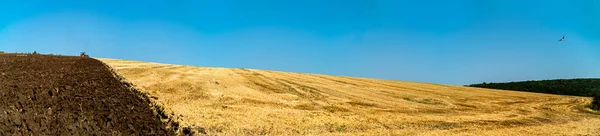 Panorama pola, na którym ciągnik pługi — Zdjęcie stockowe