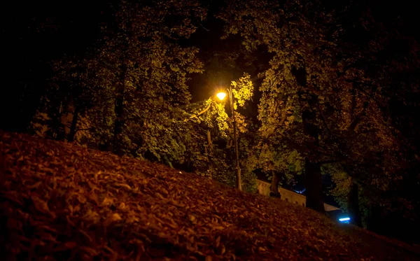 Laterne im Herbstpark auf einem Hügel — Stockfoto