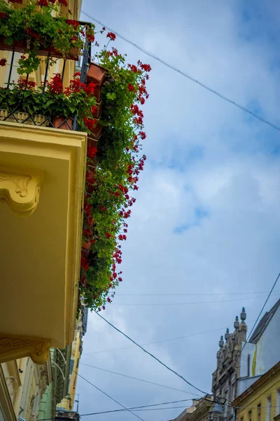 Старий балкон прикрашений червоними квітами — стокове фото
