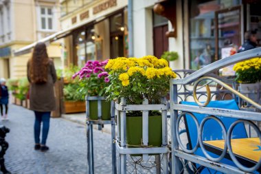 Buket sarı sokak çiçek