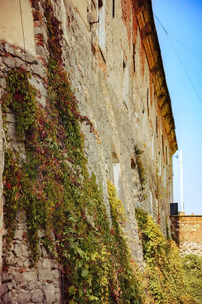 Mura medievali della vecchia fortezza di Mukacheve — Foto Stock