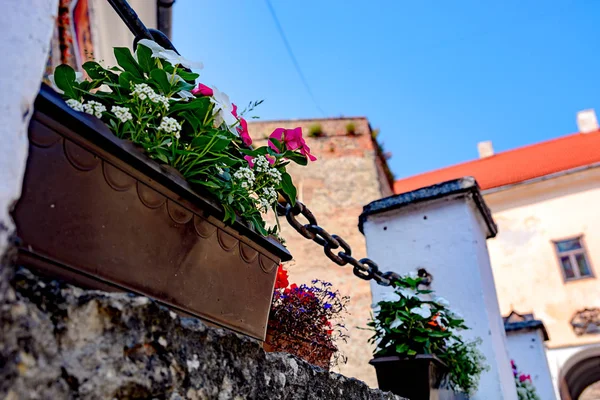 城の石垣に花が咲く植木鉢 — ストック写真