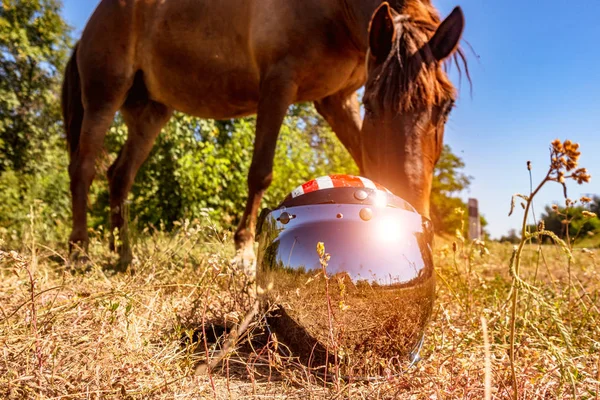 Motorcycle retro helmet on the background of a horse. Focus on the helmet. — Stock Photo, Image