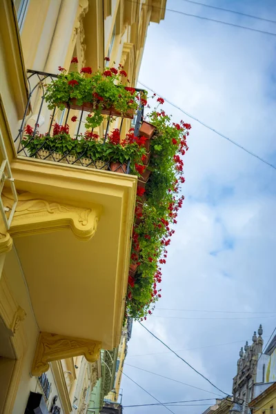 Stary balkonem urządzone w czerwone kwiaty — Zdjęcie stockowe