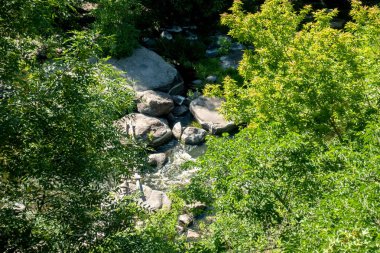 Ağaçların arasında dağlarda Nehir
