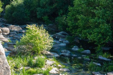 Berrak bir dağ suyu akıntısı
