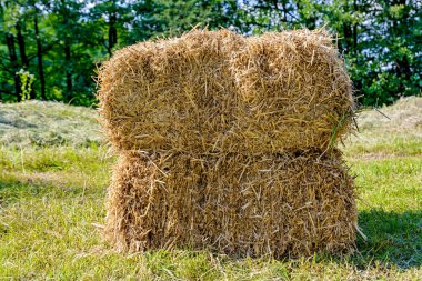 Haystack sığır dikdörtgen beslemek için