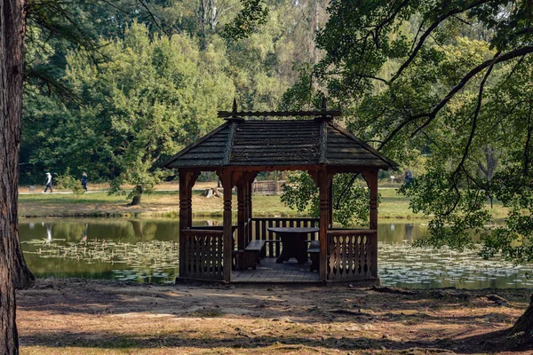 Swiss Lake in the park of Schonborn Castle in the Carpathians, Ukraine. The source of youth and beauty with healing water — Stock Photo, Image