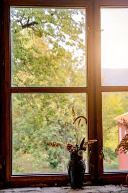 Saksı eski pencerede