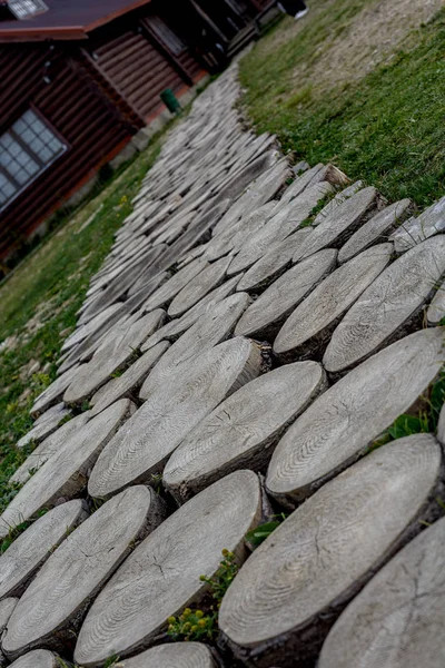 Cesta z kulatý řez stromu — Stock fotografie