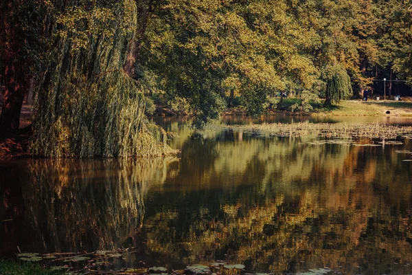 Schweizer See im Park von Schloss Schonborn in den Karpaten, Ukraine. die Quelle der Jugend und Schönheit mit Heilwasser — Stockfoto