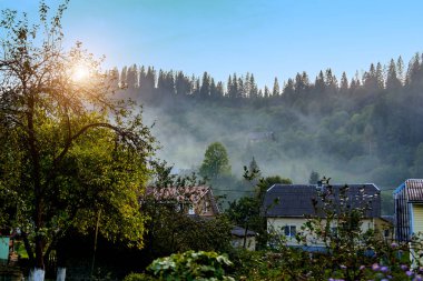 Ormanda bir dağ köyünde sis
