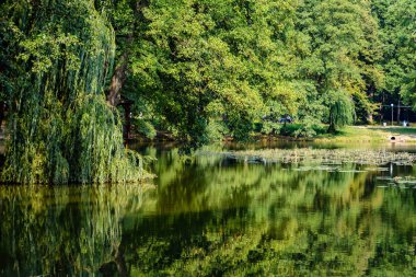 Karpatlar Schonborn Kalesi parkında İsviçre Gölü, Ukrayna. Şifalı su ile gençlik ve güzellik kaynağı