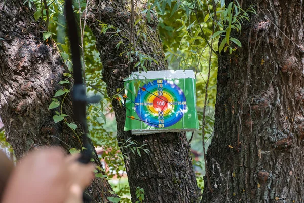 Bersaglio Tiro Con Arco Attaccato Albero Una Freccia Fuoriesce Dal — Foto Stock