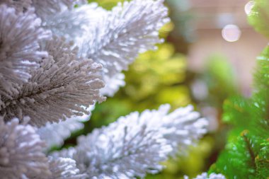 Sahte Noel ağacı. Beyaz pofuduk noel ağacı dalları sığ tarla derinliğinde.