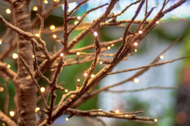 Parlak bir çelenkle örülmüş bir ağacın dalları. Sığ alan derinliği.