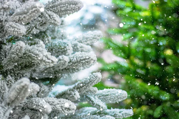 New Year\'s decorative trees. Fluffy branches of white and green.