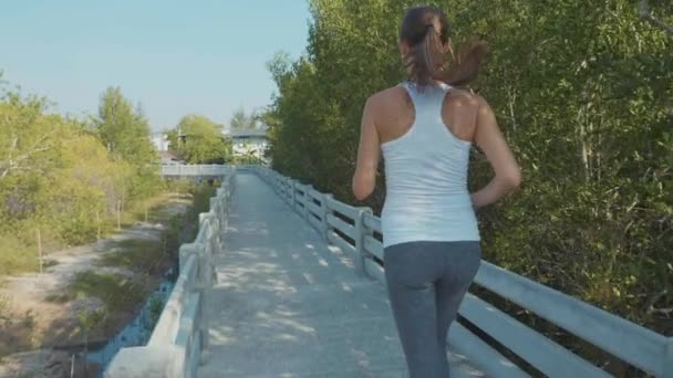 Ung kvinna jogging på Mangrove skogsstigen. Steadicam sköt i slow motion — Stockvideo