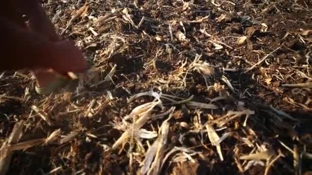 Agricultor preparando el suelo para la próxima temporada. Permacultura ecología agricultura concepto — Vídeos de Stock
