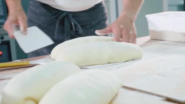 Profissional padeiro coloca pão cru no forno em uma cozinha comercial — Vídeo de Stock