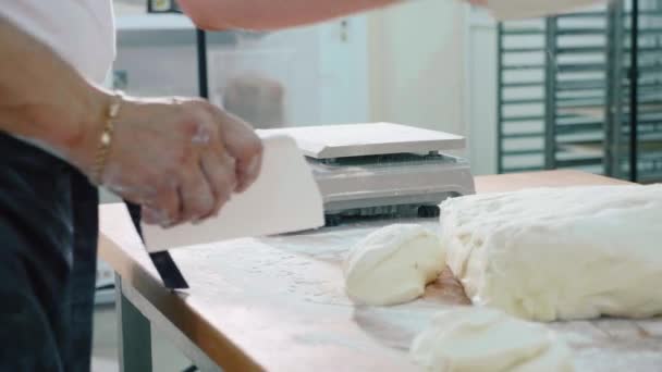 Профессиональный пекарь делит тесто на порции и взвешивает их — стоковое видео