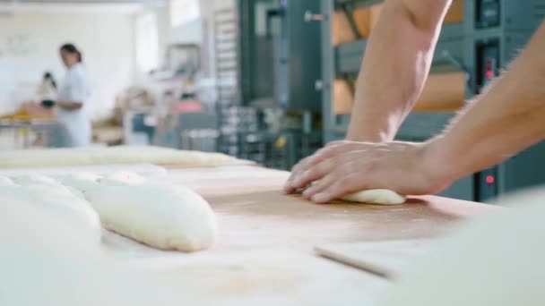 Panadero profesional está formando piezas de masa en la cocina comercial de panadería . — Vídeos de Stock