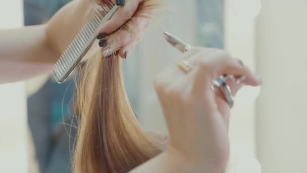 Parrucchiere femminile taglio punte di capelli con forbici parrucchiere nel salone di bellezza . — Video Stock