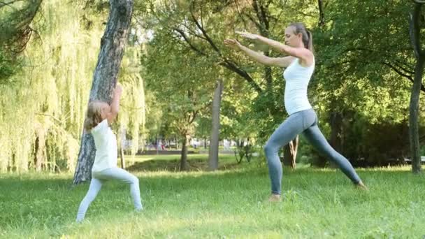 Matka a její malá roztomilá dcera dělá jógu zacvičit společně — Stock video