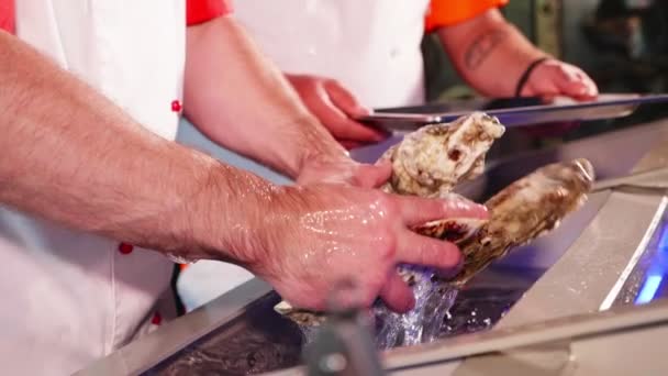 Koch zieht die Muscheln aus dem Aquarium des Meeresfrüchte-Restaurants, Nahaufnahme. — Stockvideo