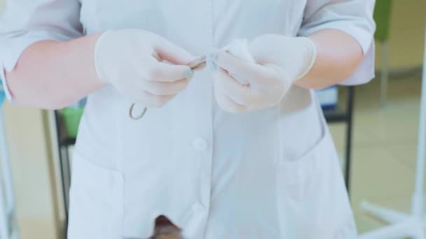 The veterinarian is cleaning the ears of a little kitten at veterinary clinic — Stock Video