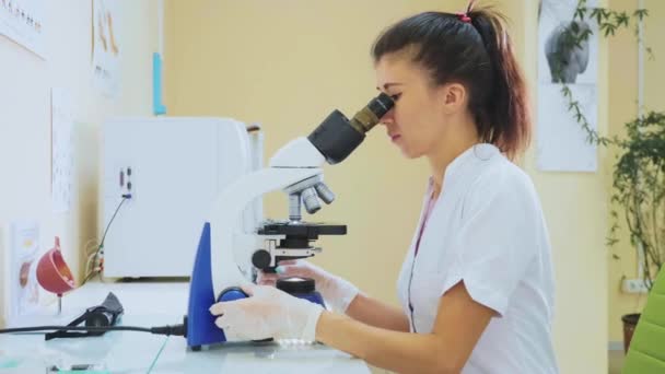 Veterinaire werknemer met behulp van de Microscoop voor het testen van bloedmonsters van dieren — Stockvideo